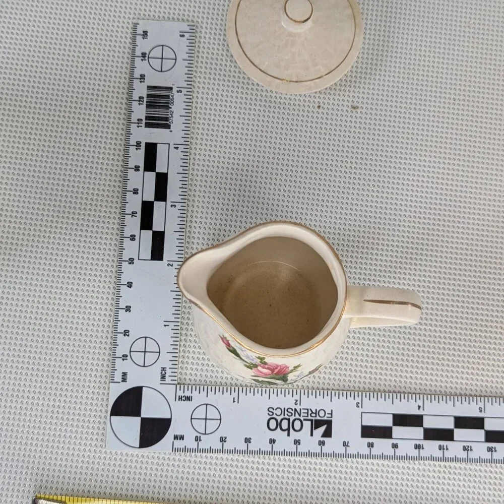 Vintage Floral Ceramic Creamer & Sugar set Rimmed in Gold Tone Accent